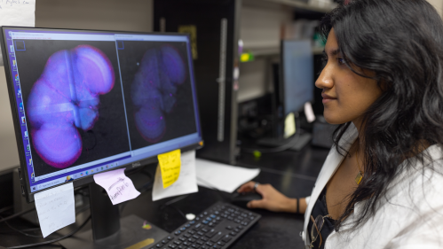 Akanksha S. Mathivanan working in a lab