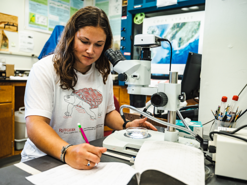 Rutgers Marine Field Station laboratory assistant Miranda Rosen performs research in the Tuckerton lab