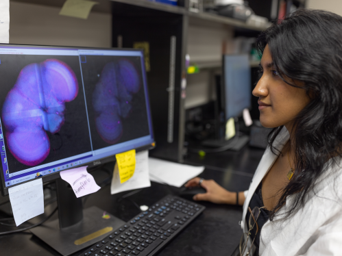 Akanksha S. Mathivanan working in a lab